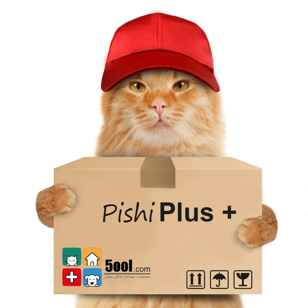 depositphotos_90888970-stock-photo-funny-cat-delivery-service-1