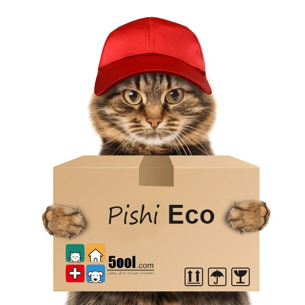 funny-cat-delivery-service-postman-600nw-302690663-2